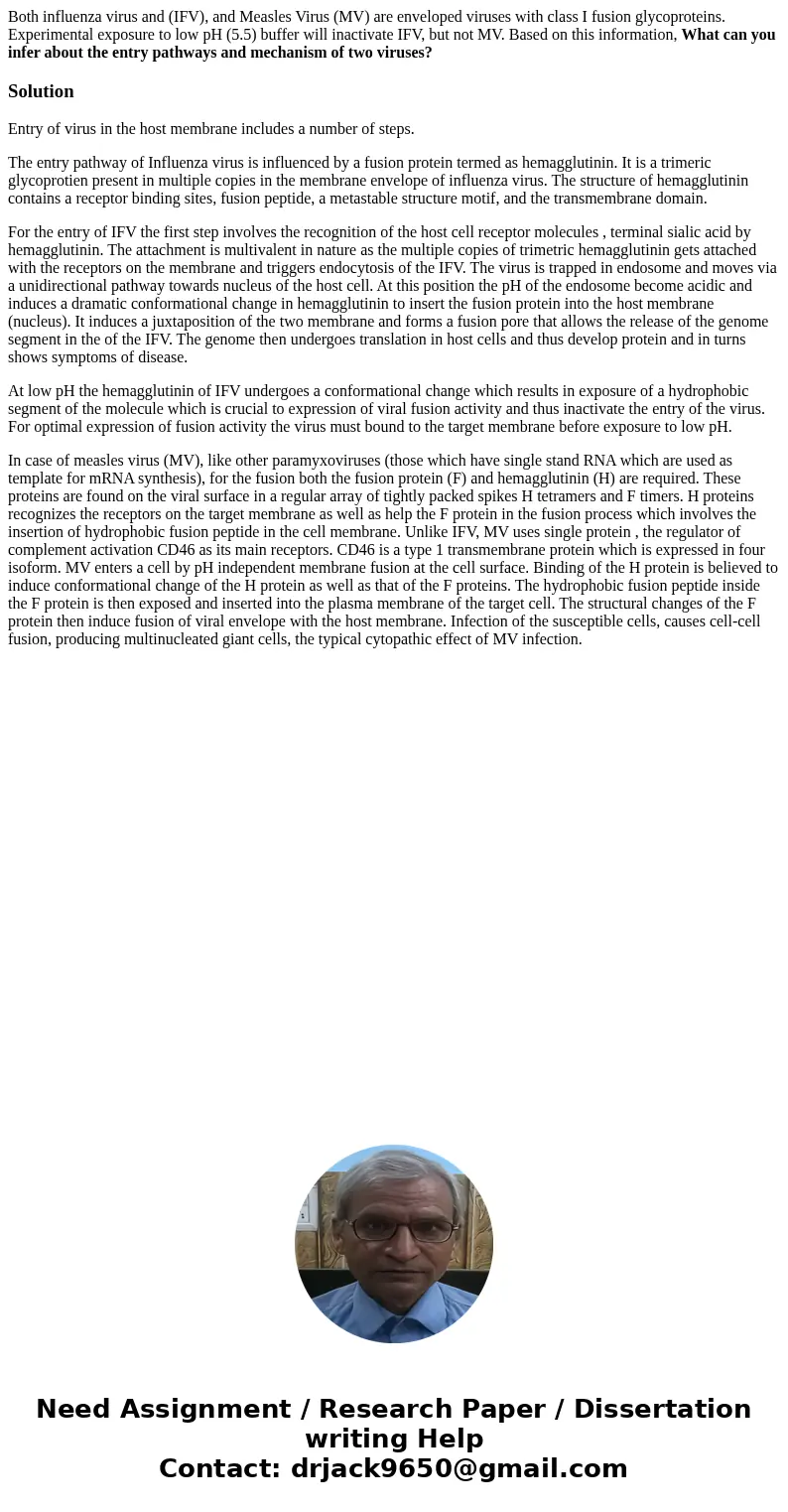 Both influenza virus and (IFV), and Measles Virus (MV) are enveloped viruses with class I fusion glycoproteins. Experimental exposure to low pH (5.5) buffer wil Both influenza virus and (IFV), and Measles Virus (MV) are enveloped viruses with class I fusion glycoproteins. Experimental exposure to low pH (5.5) buffer wil
