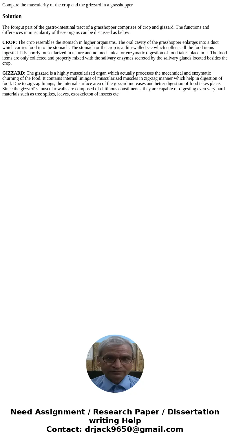 Compare the mascularity of the crop and the grizzard in a grasshopperSolutionThe foregut part of the gastro-intestinal tract of a grasshopper comprises of crop  Compare the mascularity of the crop and the grizzard in a grasshopperSolutionThe foregut part of the gastro-intestinal tract of a grasshopper comprises of crop