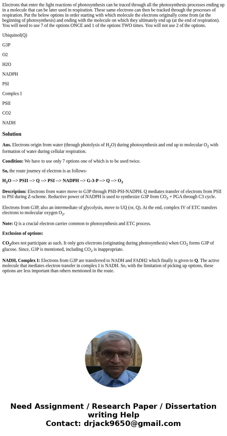 Electrons that enter the light reactions of photosynthesis can be traced through all the photosynthesis processes ending up in a molecule that can be later used Electrons that enter the light reactions of photosynthesis can be traced through all the photosynthesis processes ending up in a molecule that can be later used