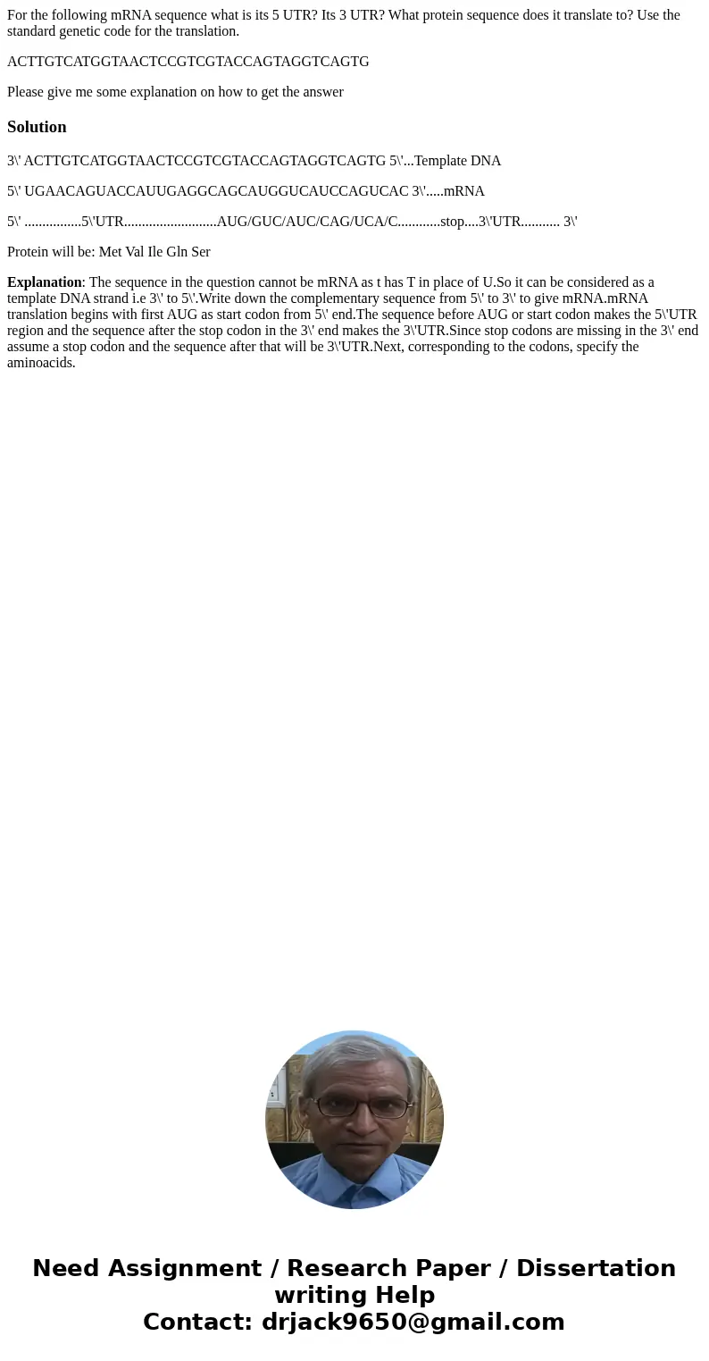 For the following mRNA sequence what is its 5 UTR? Its 3 UTR? What protein sequence does it translate to? Use the standard genetic code for the translation. ACT For the following mRNA sequence what is its 5 UTR? Its 3 UTR? What protein sequence does it translate to? Use the standard genetic code for the translation. ACT