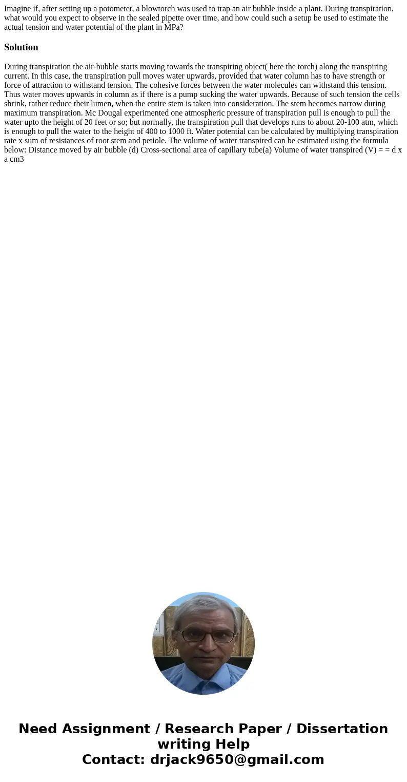 Imagine if, after setting up a potometer, a blowtorch was used to trap an air bubble inside a plant. During transpiration, what would you expect to observe in t Imagine if, after setting up a potometer, a blowtorch was used to trap an air bubble inside a plant. During transpiration, what would you expect to observe in t