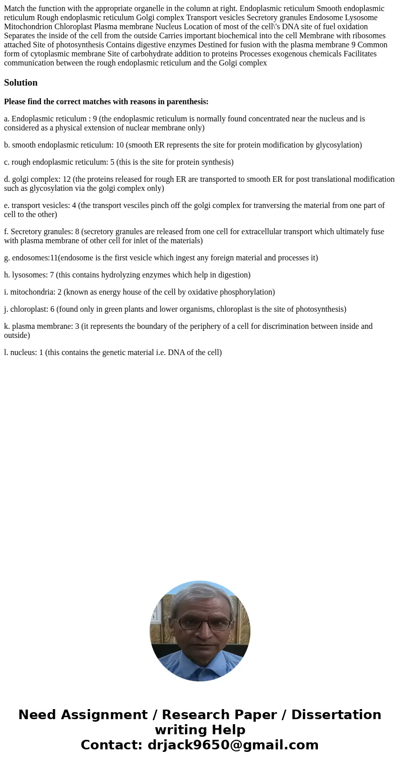Match the function with the appropriate organelle in the column at right. Endoplasmic reticulum Smooth endoplasmic reticulum Rough endoplasmic reticulum Golgi   Match the function with the appropriate organelle in the column at right. Endoplasmic reticulum Smooth endoplasmic reticulum Rough endoplasmic reticulum Golgi