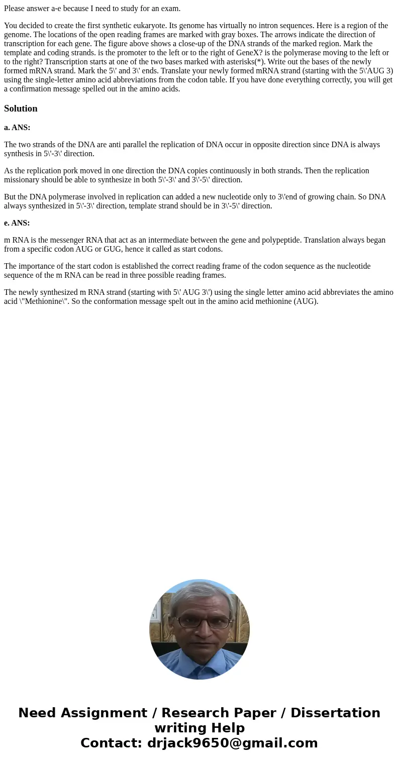 Please answer a-e because I need to study for an exam. You decided to create the first synthetic eukaryote. Its genome has virtually no intron sequences. Here i Please answer a-e because I need to study for an exam. You decided to create the first synthetic eukaryote. Its genome has virtually no intron sequences. Here i