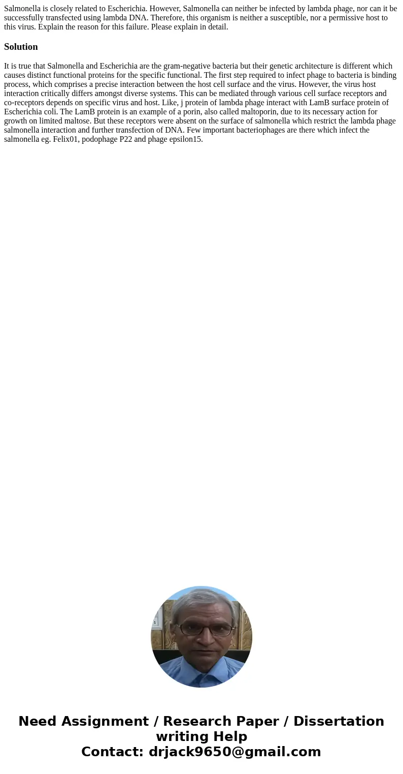 Salmonella is closely related to Escherichia. However, Salmonella can neither be infected by lambda phage, nor can it be successfully transfected using lambda D Salmonella is closely related to Escherichia. However, Salmonella can neither be infected by lambda phage, nor can it be successfully transfected using lambda D
