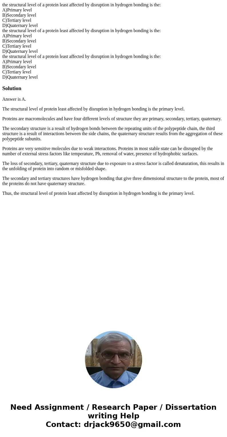 the structural level of a protein least affected by disruption in hydrogen bonding is the: A)Primary level B)Secondary level C)Tertiary level D)Quaternary leve  the structural level of a protein least affected by disruption in hydrogen bonding is the: A)Primary level B)Secondary level C)Tertiary level D)Quaternary leve
