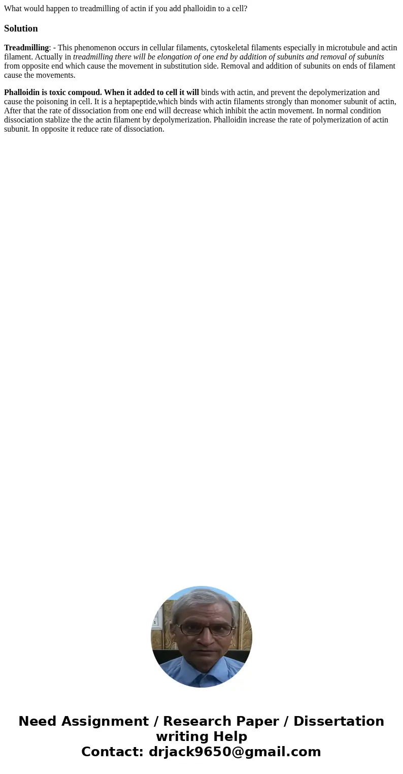 What would happen to treadmilling of actin if you add phalloidin to a cell?SolutionTreadmilling: - This phenomenon occurs in cellular filaments, cytoskeletal fi What would happen to treadmilling of actin if you add phalloidin to a cell?SolutionTreadmilling: - This phenomenon occurs in cellular filaments, cytoskeletal fi