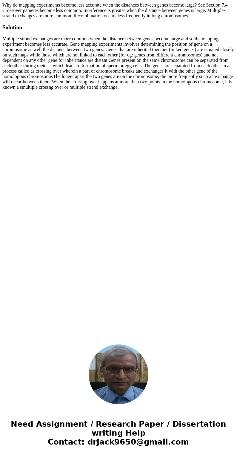 Why do mapping experiments become less accurate when the distances between genes become large? See Section 7.4 Crossover gametes become less common. Interferen  Why do mapping experiments become less accurate when the distances between genes become large? See Section 7.4 Crossover gametes become less common. Interferen