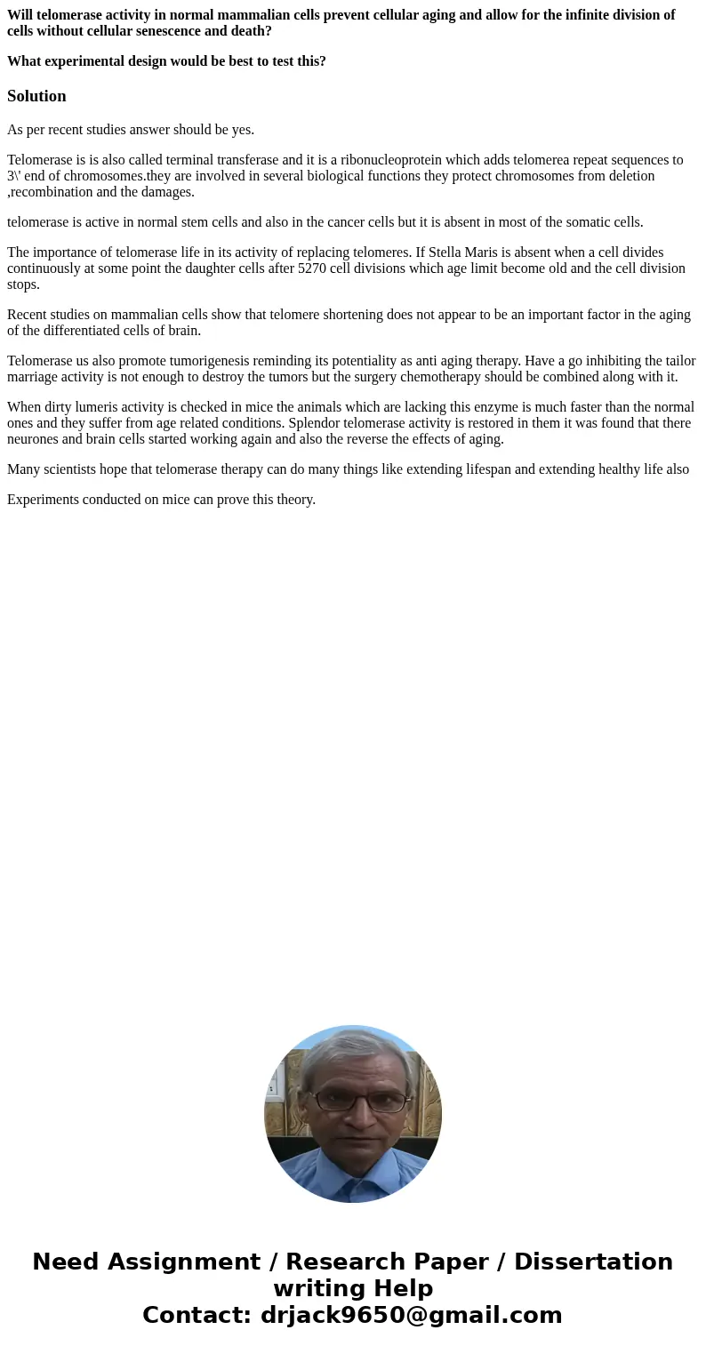 Will telomerase activity in normal mammalian cells prevent cellular aging and allow for the infinite division of cells without cellular senescence and death? Wh Will telomerase activity in normal mammalian cells prevent cellular aging and allow for the infinite division of cells without cellular senescence and death? Wh