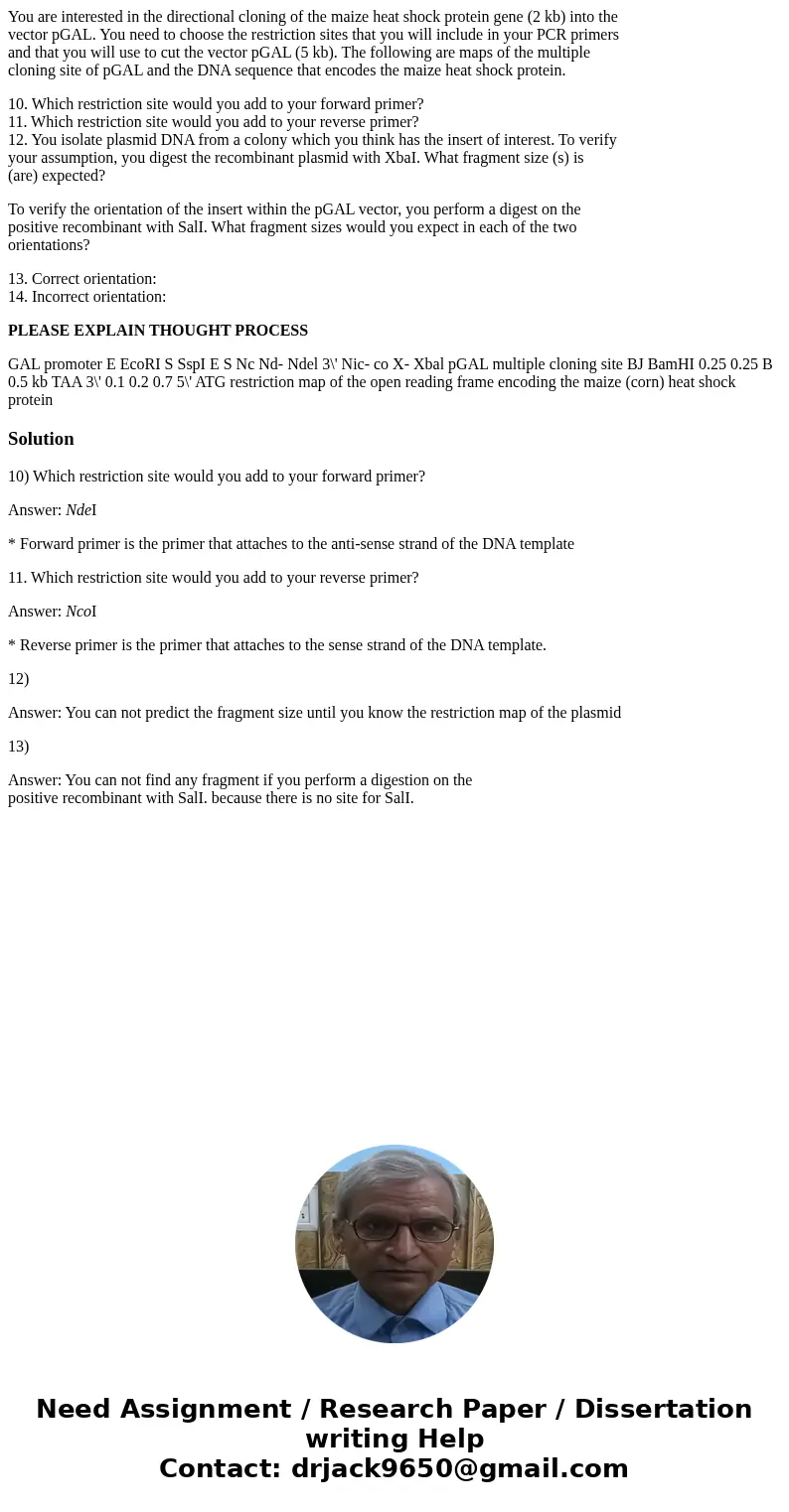 You are interested in the directional cloning of the maize heat shock protein gene (2 kb) into the vector pGAL. You need to choose the restriction sites that yo You are interested in the directional cloning of the maize heat shock protein gene (2 kb) into the vector pGAL. You need to choose the restriction sites that yo