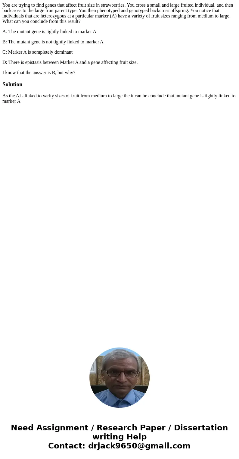 You are trying to find genes that affect fruit size in strawberries. You cross a small and large fruited individual, and then backcross to the large fruit paren You are trying to find genes that affect fruit size in strawberries. You cross a small and large fruited individual, and then backcross to the large fruit paren