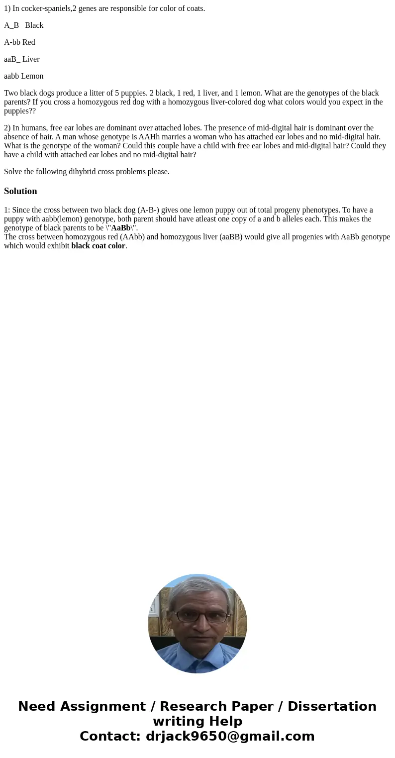 1) In cocker-spaniels,2 genes are responsible for color of coats. A_B Black A-bb Red aaB_ Liver aabb Lemon Two black dogs produce a litter of 5 puppies. 2 black