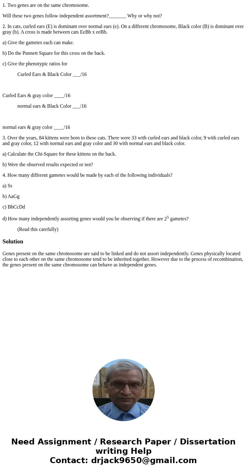 1. Two genes are on the same chromosome. Will these two genes follow independent assortment?_______ Why or why not? 2. In cats, curled ears (E) is dominant over 1. Two genes are on the same chromosome. Will these two genes follow independent assortment?_______ Why or why not? 2. In cats, curled ears (E) is dominant over