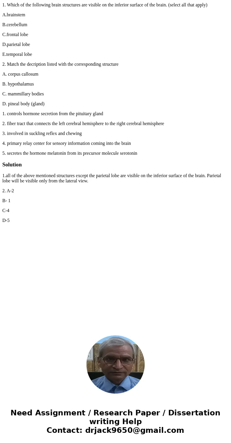 1. Which of the following brain structures are visible on the inferior surface of the brain. (select all that apply) A.brainstem B.cerebellum C.frontal lobe D.p 1. Which of the following brain structures are visible on the inferior surface of the brain. (select all that apply) A.brainstem B.cerebellum C.frontal lobe D.p