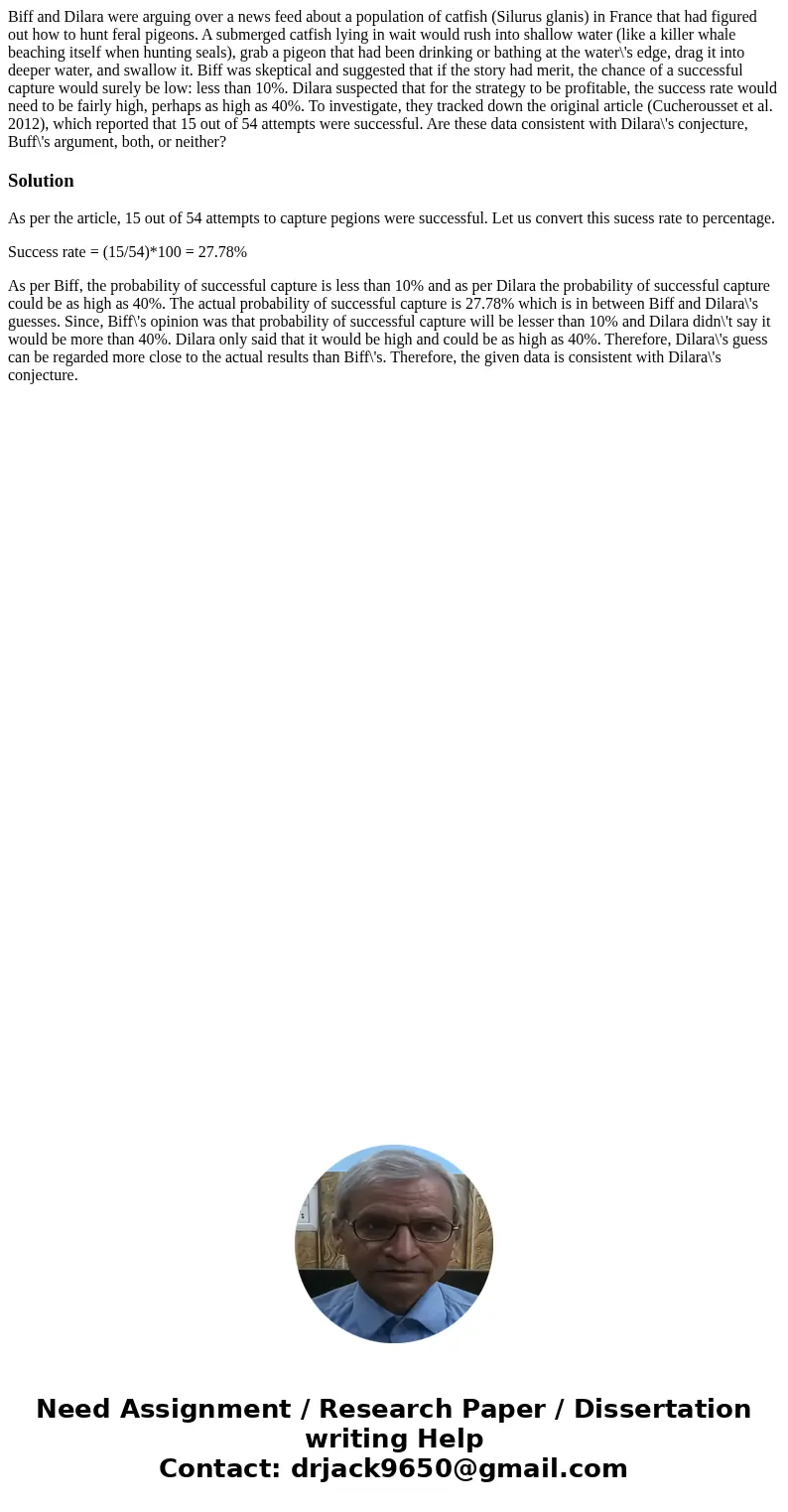 Biff and Dilara were arguing over a news feed about a population of catfish (Silurus glanis) in France that had figured out how to hunt feral pigeons. A submer  Biff and Dilara were arguing over a news feed about a population of catfish (Silurus glanis) in France that had figured out how to hunt feral pigeons. A submer