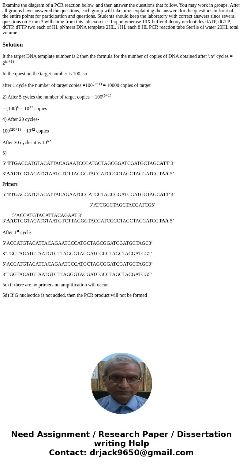 Examine the diagram of a PCR reaction below, and then answer the questions that follow. You may work in groups. After all groups have answered the questions, e  Examine the diagram of a PCR reaction below, and then answer the questions that follow. You may work in groups. After all groups have answered the questions, e