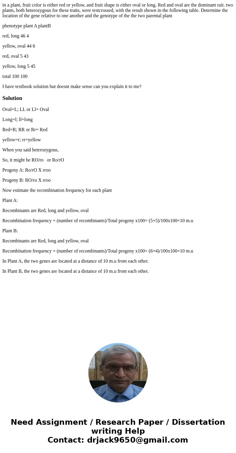 in a plant, fruit color is either red or yellow, and fruit shape is either oval or long. Red and oval are the dominant rait. two plants, both heterozygous for t in a plant, fruit color is either red or yellow, and fruit shape is either oval or long. Red and oval are the dominant rait. two plants, both heterozygous for t