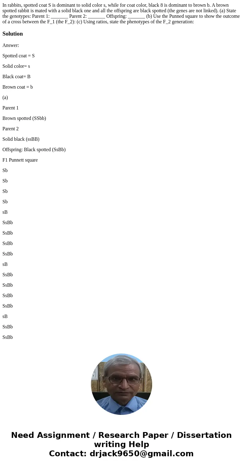 In rabbits, spotted coat S is dominant to solid color s, while for coat color, black 8 is dominant to brown b. A brown spotted rabbit is mated with a solid bla  In rabbits, spotted coat S is dominant to solid color s, while for coat color, black 8 is dominant to brown b. A brown spotted rabbit is mated with a solid bla