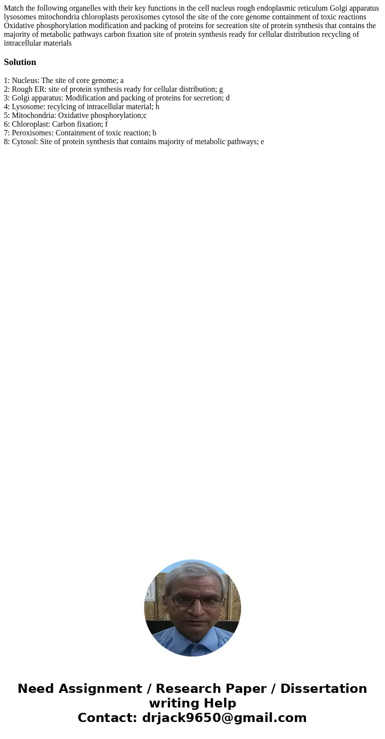 Match the following organelles with their key functions in the cell nucleus rough endoplasmic reticulum Golgi apparatus lysosomes mitochondria chloroplasts per  Match the following organelles with their key functions in the cell nucleus rough endoplasmic reticulum Golgi apparatus lysosomes mitochondria chloroplasts per