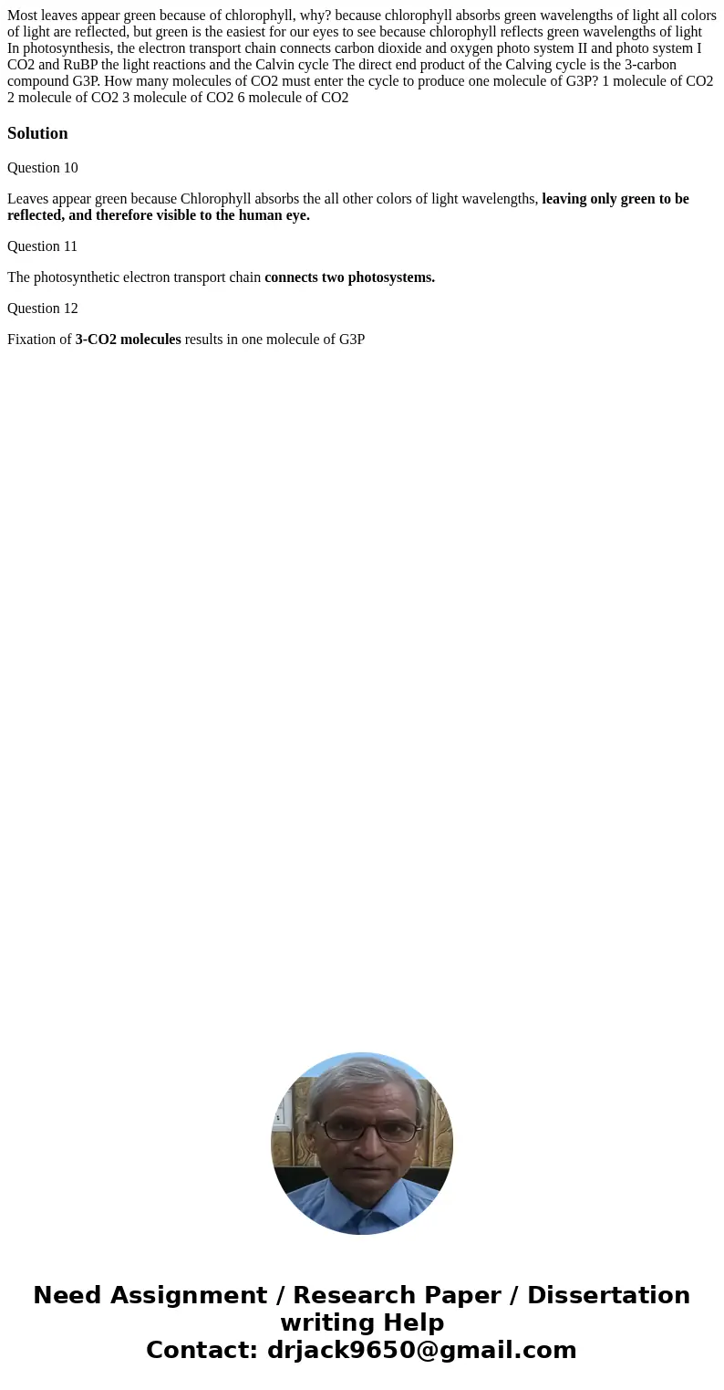 Most leaves appear green because of chlorophyll, why? because chlorophyll absorbs green wavelengths of light all colors of light are reflected, but green is th  Most leaves appear green because of chlorophyll, why? because chlorophyll absorbs green wavelengths of light all colors of light are reflected, but green is th