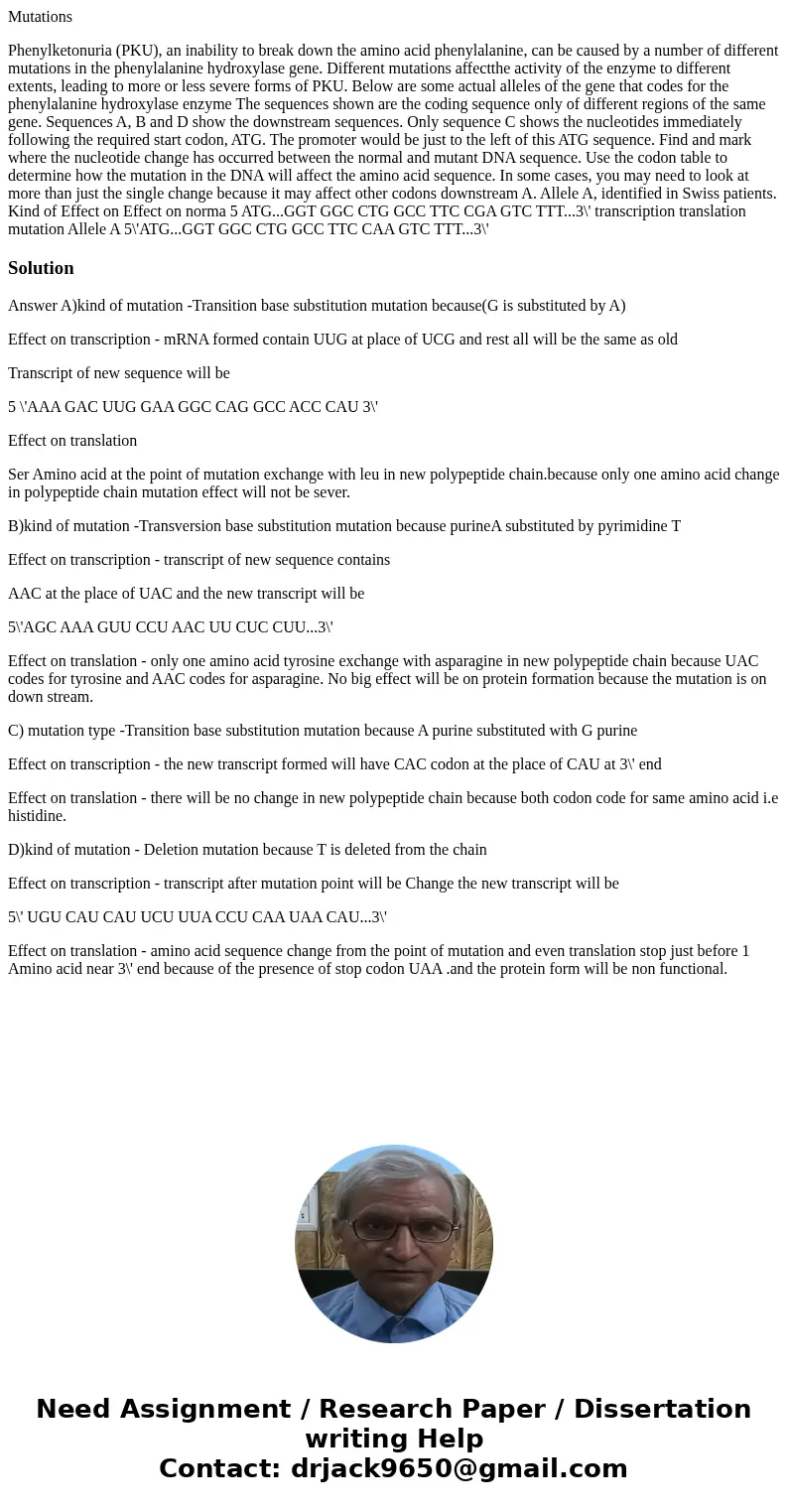 Mutations Phenylketonuria (PKU), an inability to break down the amino acid phenylalanine, can be caused by a number of different mutations in the phenylalanine  Mutations Phenylketonuria (PKU), an inability to break down the amino acid phenylalanine, can be caused by a number of different mutations in the phenylalanine