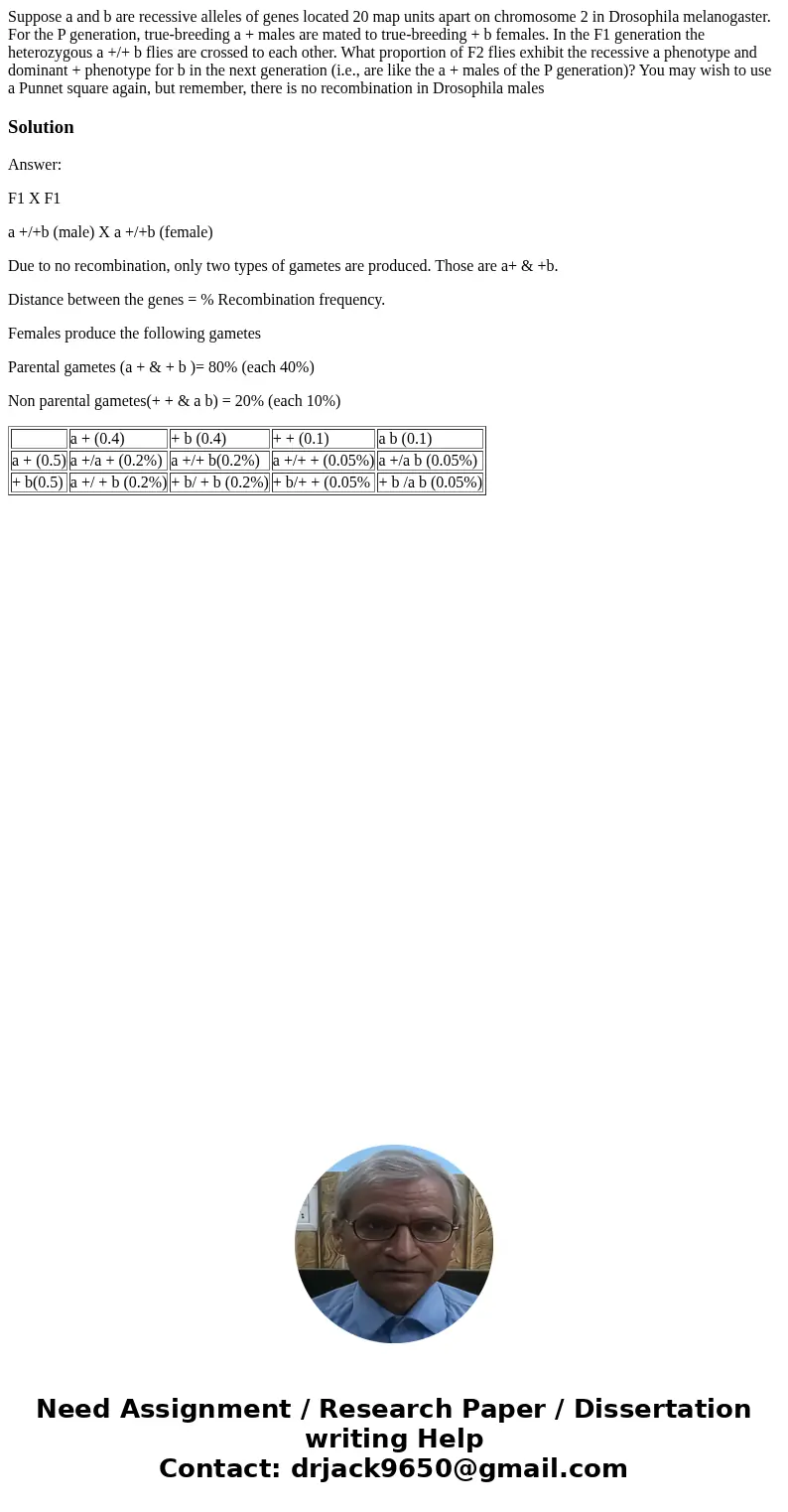 Suppose a and b are recessive alleles of genes located 20 map units apart on chromosome 2 in Drosophila melanogaster. For the P generation, true-breeding a + ma Suppose a and b are recessive alleles of genes located 20 map units apart on chromosome 2 in Drosophila melanogaster. For the P generation, true-breeding a + ma