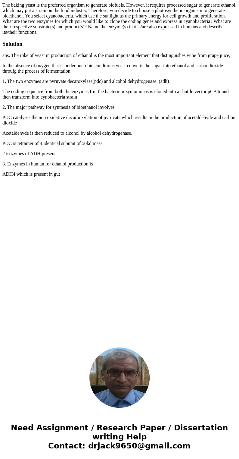 The baking yeast is the preferred organism to generate biofuels. However, it requires processed sugar to generate ethanol, which may put a strain on the food i  The baking yeast is the preferred organism to generate biofuels. However, it requires processed sugar to generate ethanol, which may put a strain on the food i
