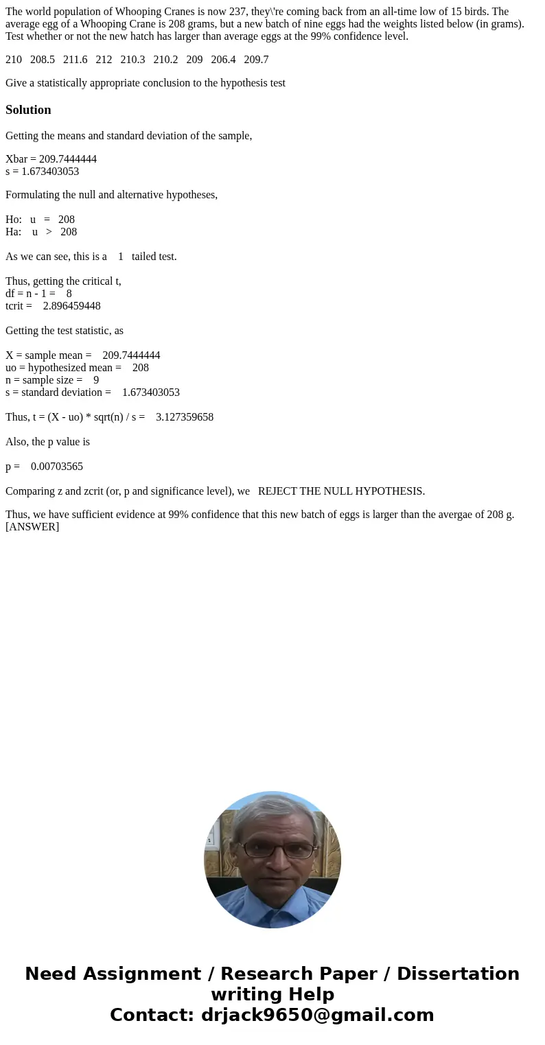 The world population of Whooping Cranes is now 237, they\'re coming back from an all-time low of 15 birds. The average egg of a Whooping Crane is 208 grams, but The world population of Whooping Cranes is now 237, they\'re coming back from an all-time low of 15 birds. The average egg of a Whooping Crane is 208 grams, but