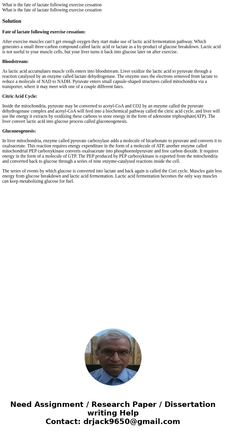 What is the fate of lactate following exercise cessation What is the fate of lactate following exercise cessationSolutionFate of lactate following exercise ces  What is the fate of lactate following exercise cessation What is the fate of lactate following exercise cessationSolutionFate of lactate following exercise ces