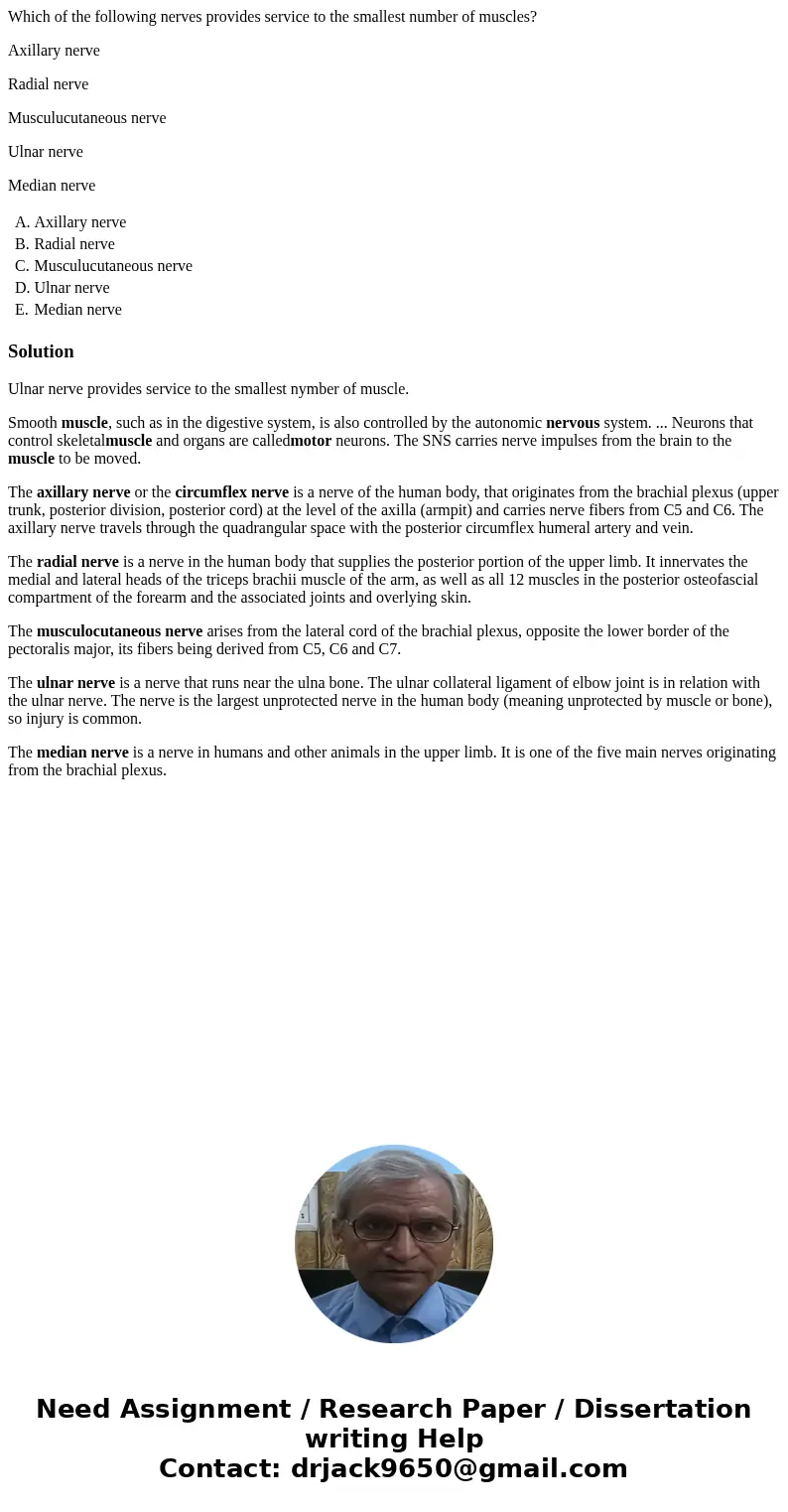Which of the following nerves provides service to the smallest number of muscles? Axillary nerve Radial nerve Musculucutaneous nerve Ulnar nerve Median nerve A. Which of the following nerves provides service to the smallest number of muscles? Axillary nerve Radial nerve Musculucutaneous nerve Ulnar nerve Median nerve A.