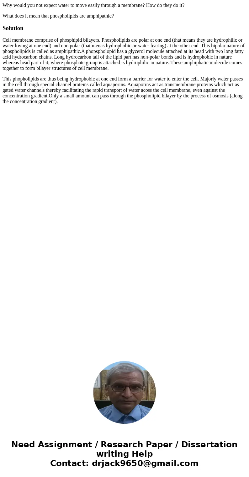Why would you not expect water to move easily through a membrane? How do they do it? What does it mean that phospholipids are amphipathic?SolutionCell membrane  Why would you not expect water to move easily through a membrane? How do they do it? What does it mean that phospholipids are amphipathic?SolutionCell membrane