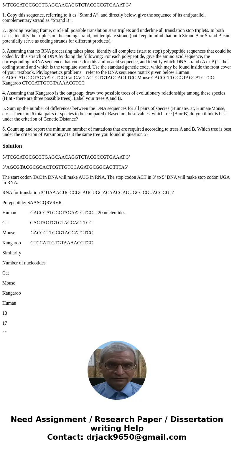 5\'TCGCATGCGCGTGAGCAACAGGTCTACGCCGTGAAAT 3\' 1. Copy this sequence, referring to it as “Strand A”, and directly below, give the sequence of its antiparallel, co 5\'TCGCATGCGCGTGAGCAACAGGTCTACGCCGTGAAAT 3\' 1. Copy this sequence, referring to it as “Strand A”, and directly below, give the sequence of its antiparallel, co