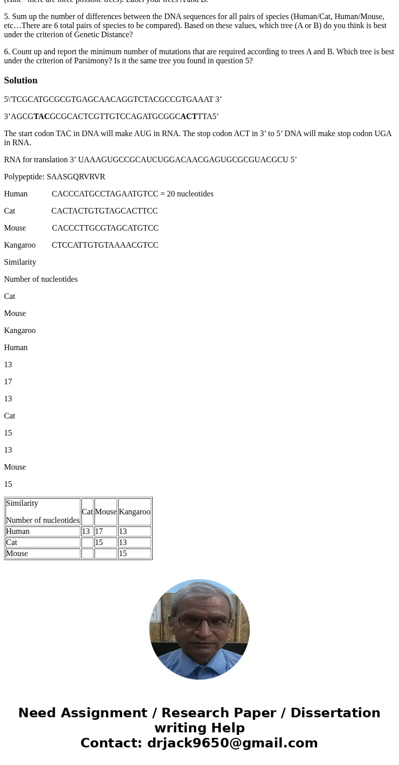 5\'TCGCATGCGCGTGAGCAACAGGTCTACGCCGTGAAAT 3\' 1. Copy this sequence, referring to it as “Strand A”, and directly below, give the sequence of its antiparallel, co 5\'TCGCATGCGCGTGAGCAACAGGTCTACGCCGTGAAAT 3\' 1. Copy this sequence, referring to it as “Strand A”, and directly below, give the sequence of its antiparallel, co