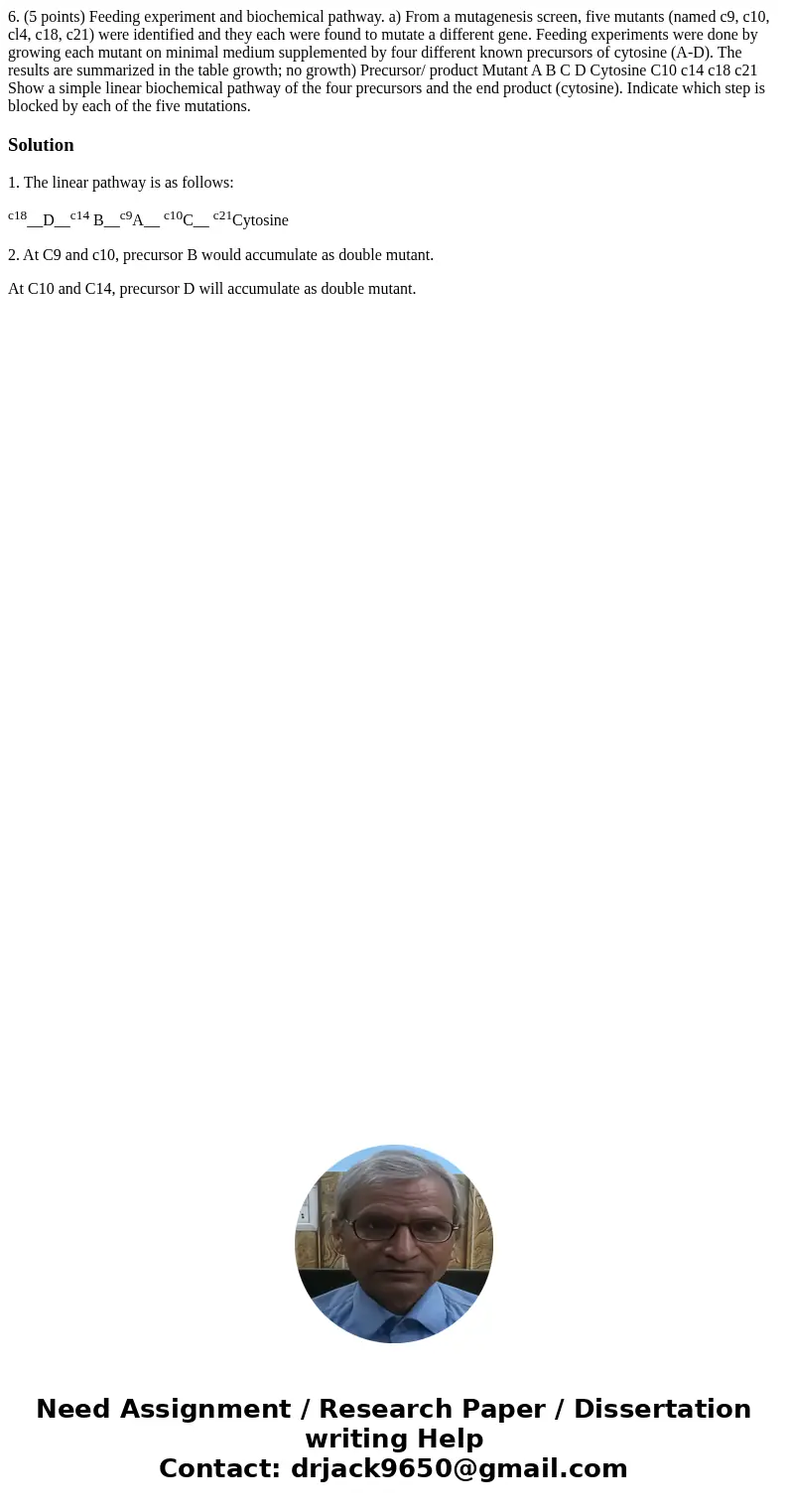 6. (5 points) Feeding experiment and biochemical pathway. a) From a mutagenesis screen, five mutants (named c9, c10, cl4, c18, c21) were identified and they ea  6. (5 points) Feeding experiment and biochemical pathway. a) From a mutagenesis screen, five mutants (named c9, c10, cl4, c18, c21) were identified and they ea