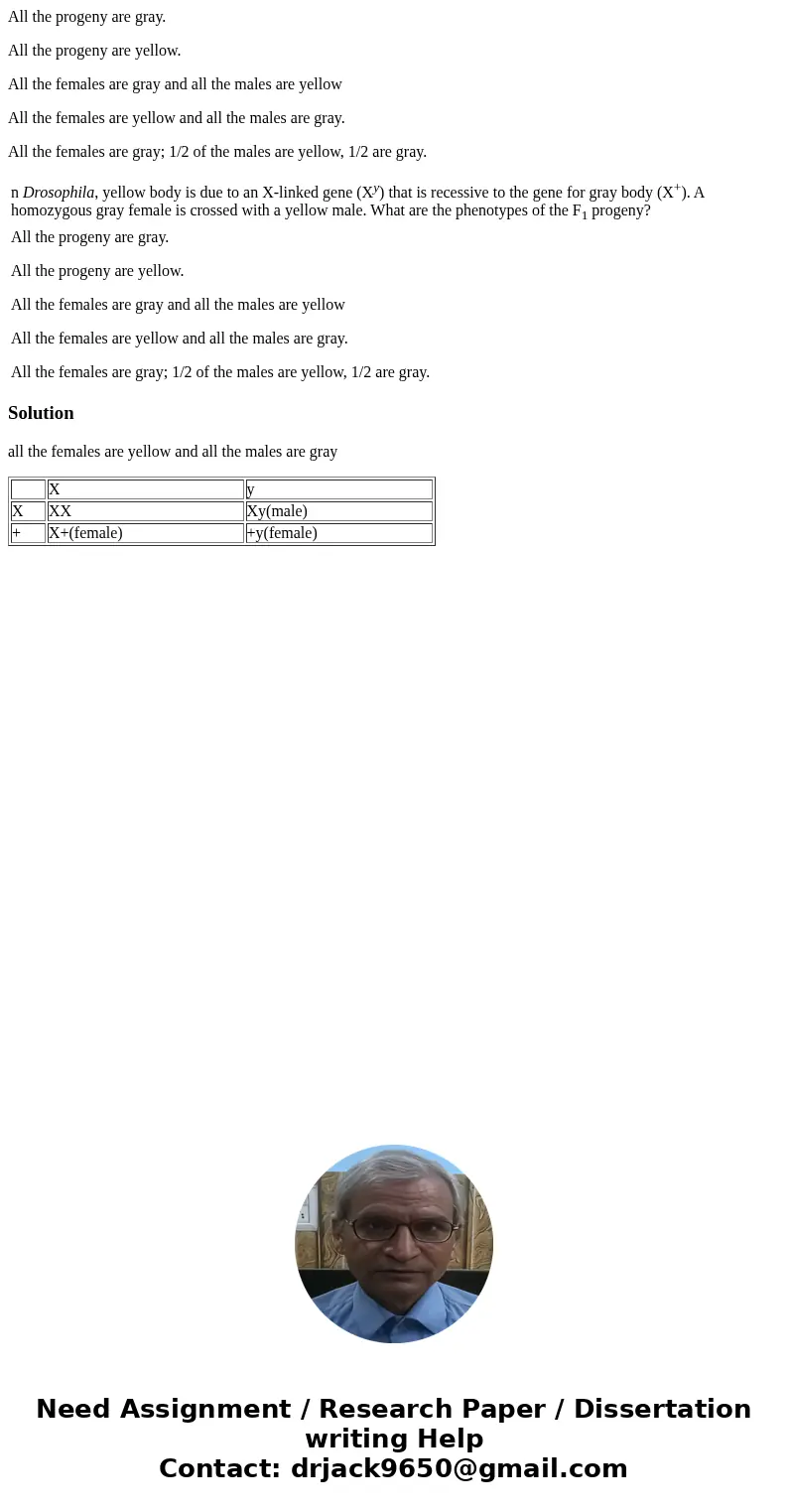 All the progeny are gray. All the progeny are yellow. All the females are gray and all the males are yellow All the females are yellow and all the males are gra All the progeny are gray. All the progeny are yellow. All the females are gray and all the males are yellow All the females are yellow and all the males are gra