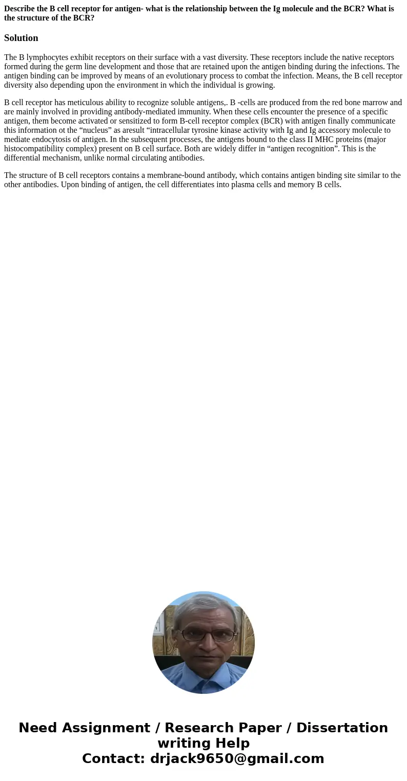 Describe the B cell receptor for antigen- what is the relationship between the Ig molecule and the BCR? What is the structure of the BCR?SolutionThe B lymphocyt Describe the B cell receptor for antigen- what is the relationship between the Ig molecule and the BCR? What is the structure of the BCR?SolutionThe B lymphocyt