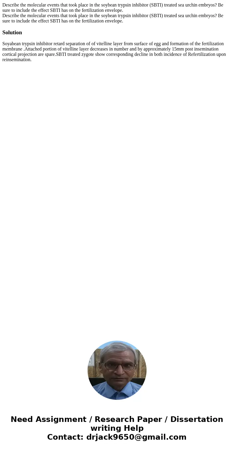  Describe the molecular events that took place in the soybean trypsin inhibitor (SBTI) treated sea urchin embryos? Be sure to include the effect SBTI has on the