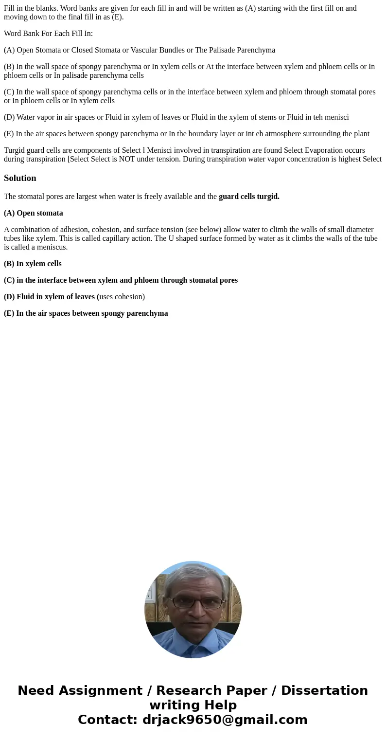 Fill in the blanks. Word banks are given for each fill in and will be written as (A) starting with the first fill on and moving down to the final fill in as (E) Fill in the blanks. Word banks are given for each fill in and will be written as (A) starting with the first fill on and moving down to the final fill in as (E)