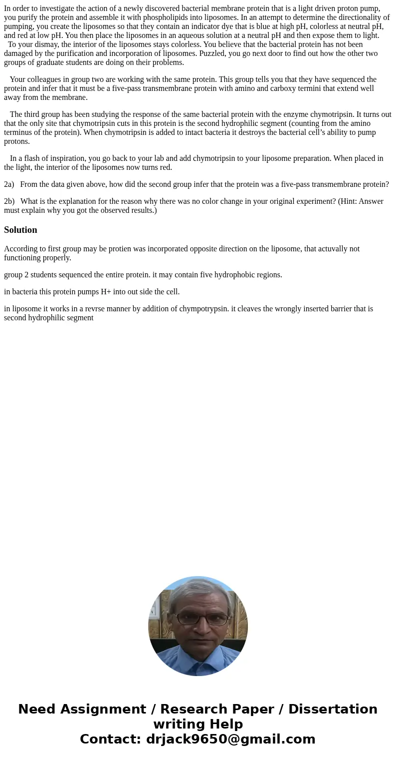 In order to investigate the action of a newly discovered bacterial membrane protein that is a light driven proton pump, you purify the protein and assemble it w In order to investigate the action of a newly discovered bacterial membrane protein that is a light driven proton pump, you purify the protein and assemble it w
