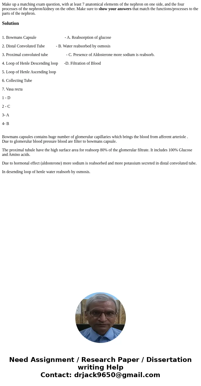Make up a matching exam question, with at least 7 anatomical elements of the nephron on one side, and the four processes of the nephron/kidney on the other. Mak Make up a matching exam question, with at least 7 anatomical elements of the nephron on one side, and the four processes of the nephron/kidney on the other. Mak