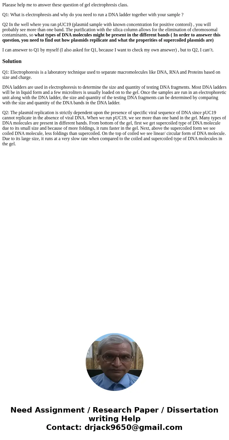 Plaease help me to answer these question of gel electrophresis class. Q1: What is electrophresis and why do you need to run a DNA ladder together with your samp Plaease help me to answer these question of gel electrophresis class. Q1: What is electrophresis and why do you need to run a DNA ladder together with your samp