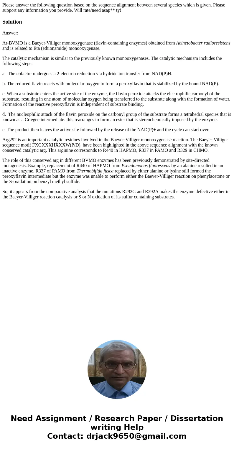 Please answer the following question based on the sequence alignment between several species which is given. Please support any information you provide. Will ra Please answer the following question based on the sequence alignment between several species which is given. Please support any information you provide. Will ra