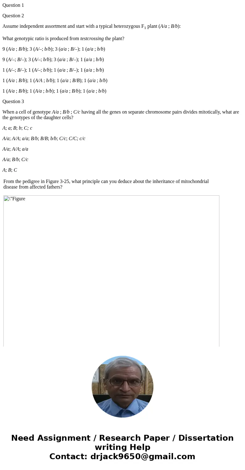 Question 1 Question 2 Assume independent assortment and start with a typical heterozygous F1 plant (A/a ; B/b): What genotypic ratio is produced from testcrossi