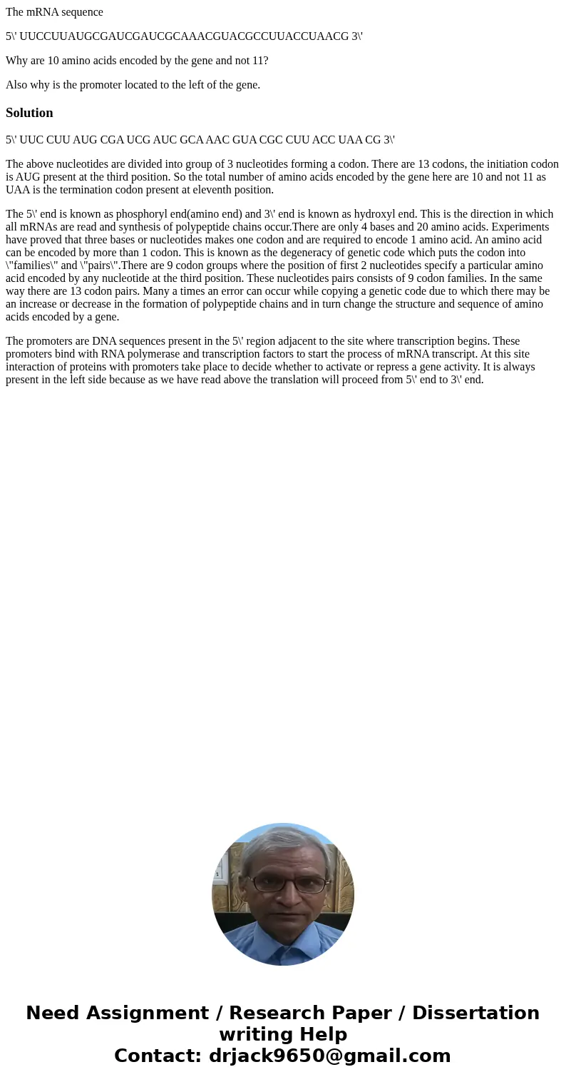The mRNA sequence 5\' UUCCUUAUGCGAUCGAUCGCAAACGUACGCCUUACCUAACG 3\' Why are 10 amino acids encoded by the gene and not 11? Also why is the promoter located to t The mRNA sequence 5\' UUCCUUAUGCGAUCGAUCGCAAACGUACGCCUUACCUAACG 3\' Why are 10 amino acids encoded by the gene and not 11? Also why is the promoter located to t