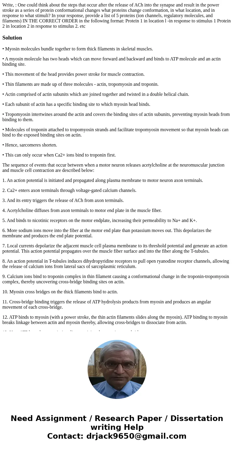 Write, : One could think about the steps that occur after the release of ACh into the synapse and result in the power stroke as a series of protein conformatio  Write, : One could think about the steps that occur after the release of ACh into the synapse and result in the power stroke as a series of protein conformatio