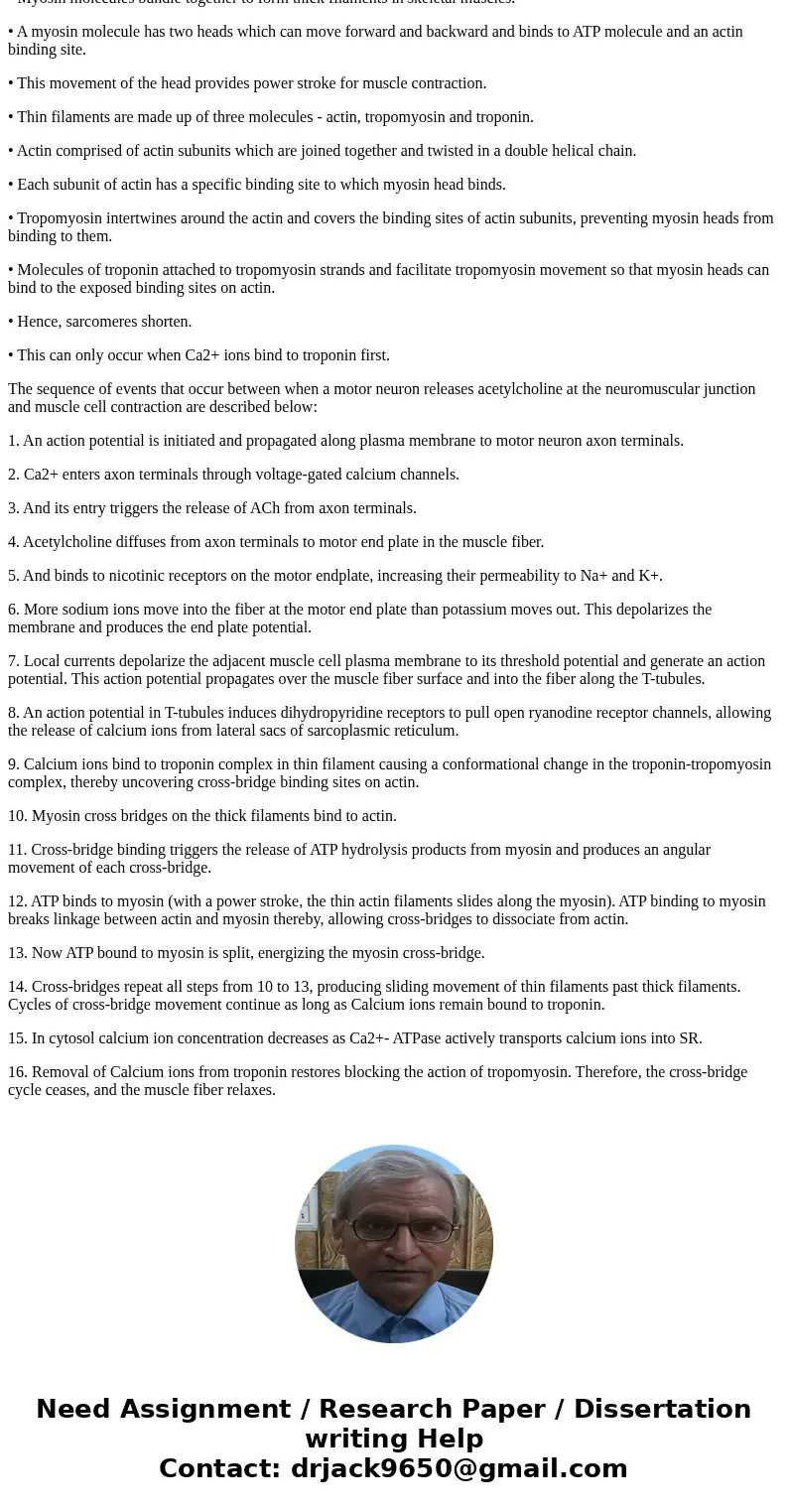 Write, : One could think about the steps that occur after the release of ACh into the synapse and result in the power stroke as a series of protein conformatio  Write, : One could think about the steps that occur after the release of ACh into the synapse and result in the power stroke as a series of protein conformatio