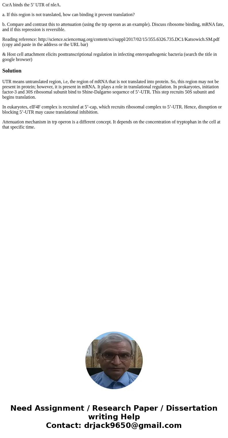 CsrA binds the 5’ UTR of nleA. a. If this region is not translated, how can binding it prevent translation? b. Compare and contrast this to attenuation (using t