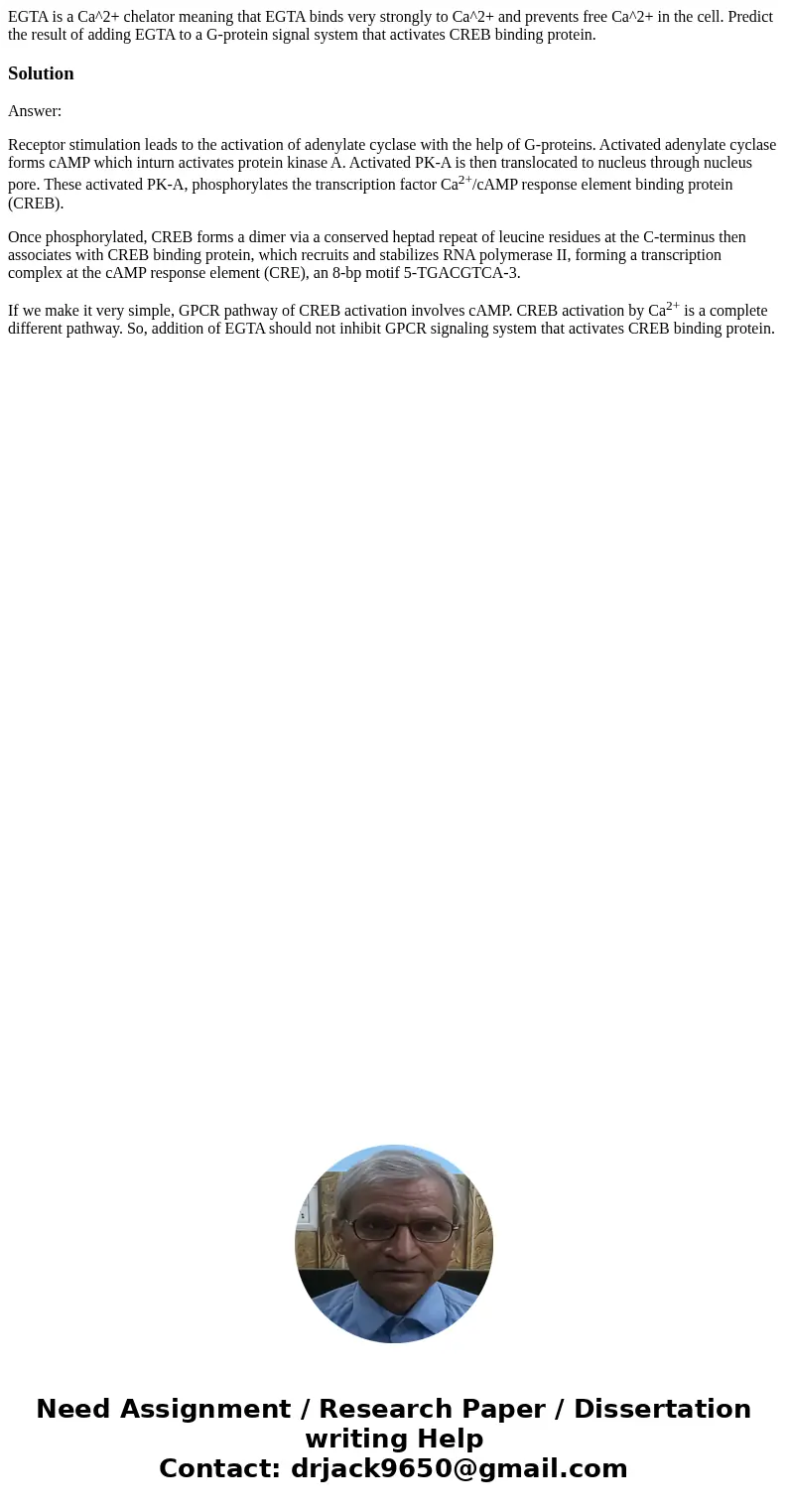 EGTA is a Ca^2+ chelator meaning that EGTA binds very strongly to Ca^2+ and prevents free Ca^2+ in the cell. Predict the result of adding EGTA to a G-protein s  EGTA is a Ca^2+ chelator meaning that EGTA binds very strongly to Ca^2+ and prevents free Ca^2+ in the cell. Predict the result of adding EGTA to a G-protein s