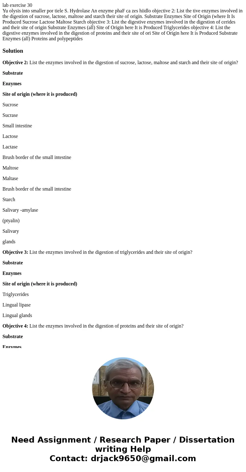lab exercise 30 Yu olysis into smaller por tiele S. Hydrolase An enzyme phaF ca zes hiidlo objective 2: List the tive enzymes involved in the digestion of sucro