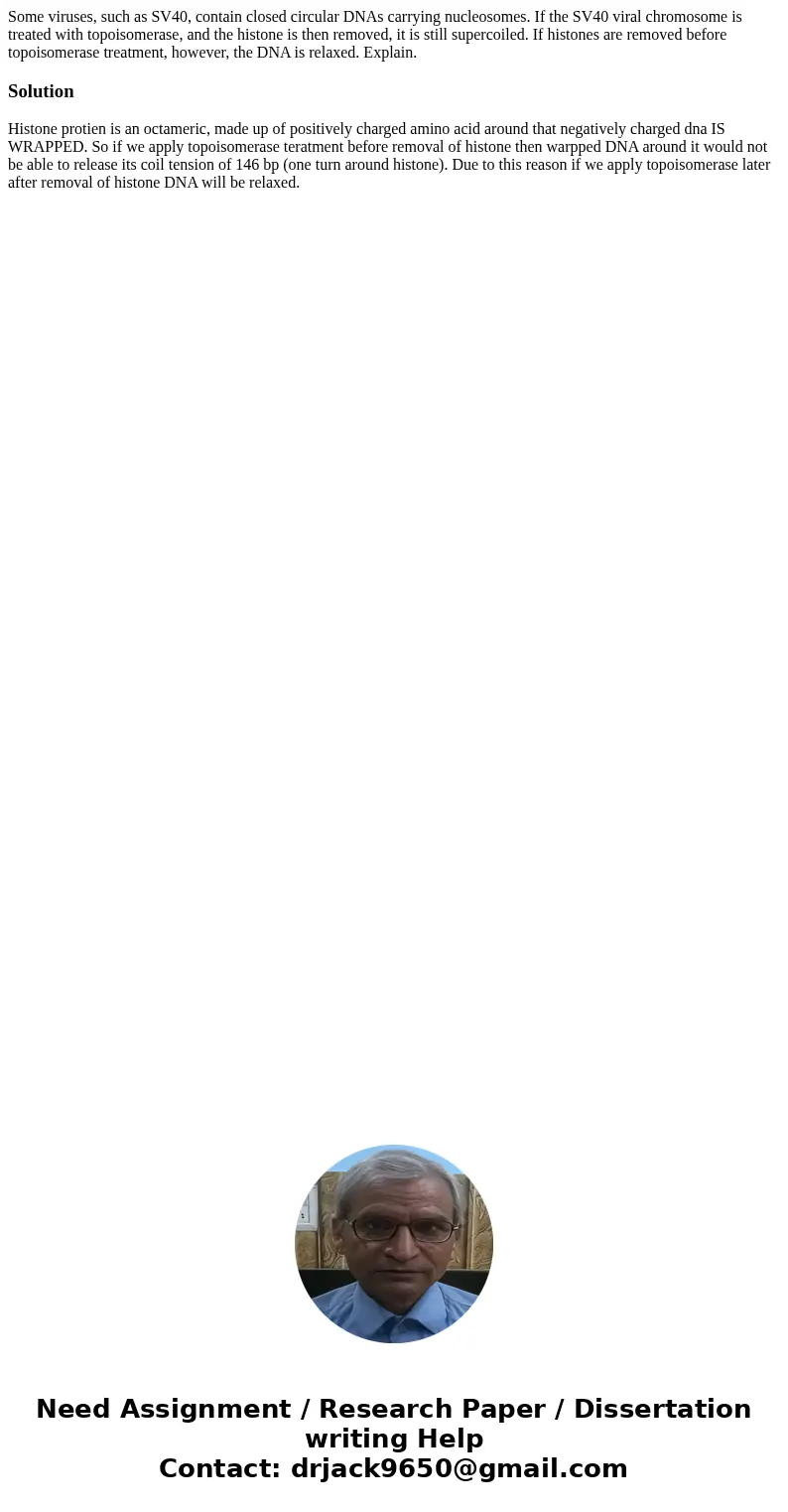 Some viruses, such as SV40, contain closed circular DNAs carrying nucleosomes. If the SV40 viral chromosome is treated with topoisomerase, and the histone is th Some viruses, such as SV40, contain closed circular DNAs carrying nucleosomes. If the SV40 viral chromosome is treated with topoisomerase, and the histone is th