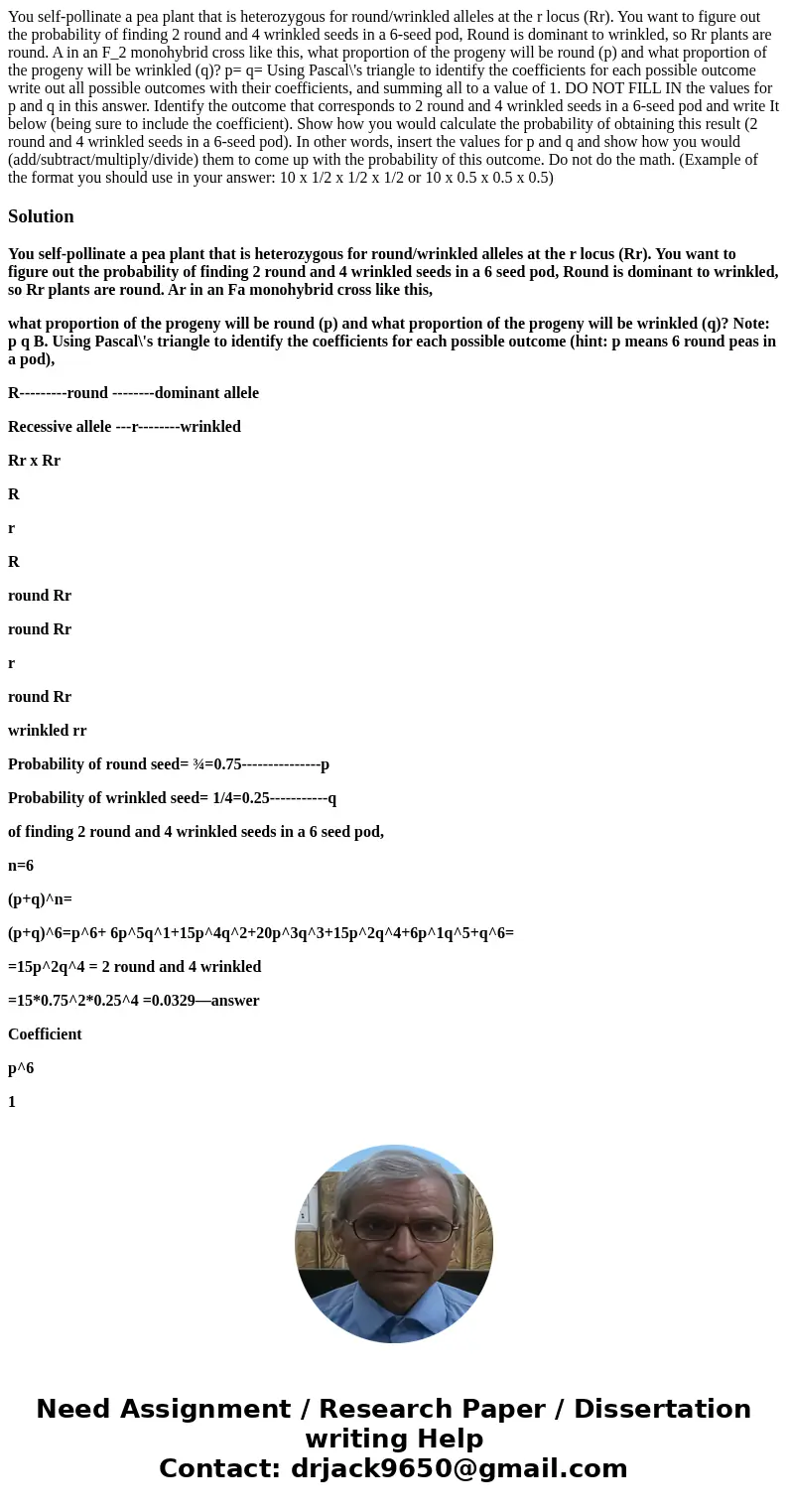  You self-pollinate a pea plant that is heterozygous for round/wrinkled alleles at the r locus (Rr). You want to figure out the probability of finding 2 round a